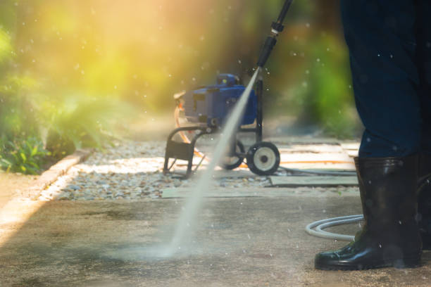 Best Sidewalk and Walkway Cleaning  in Reinbeck, IA